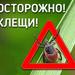 Пресс-релизы Сохраним здоровье
