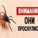 Пресс-релизы Сохраним здоровье