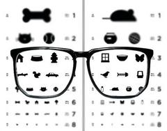 19 сентября – День здоровья школьников. Профилактика нарушений зрения.