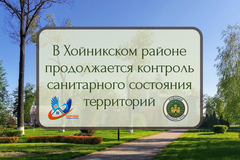 За чистоту и порядок: в Хойникском районе продолжается контроль санитарного состояния территорий За чистоту и порядок: в Хойникском районе продолжается контроль санитарного состояния территорий
