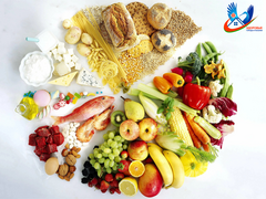 Здоровое питание: путь к долголетию через правильный выбор продуктов